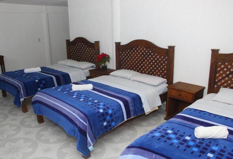 Chambre Familiale, Alejandra