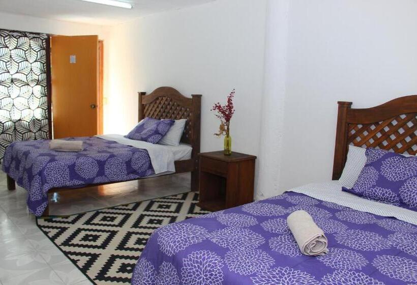 Chambre Quadruple Standard, Alejandra