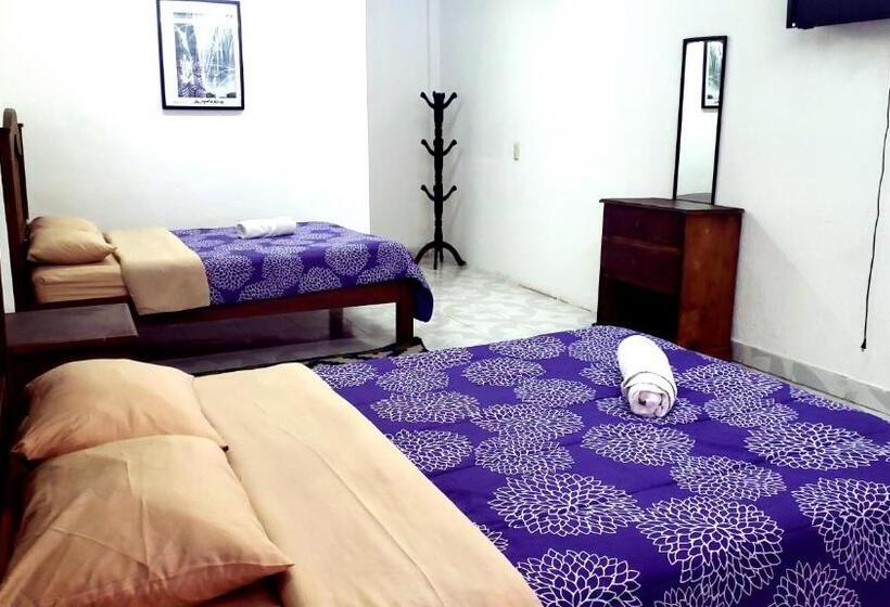 Chambre Quadruple Standard, Alejandra