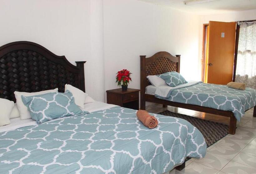 Chambre Quadruple Standard, Alejandra