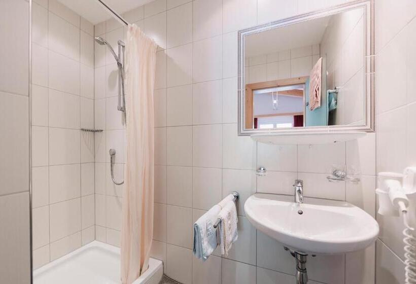 Номер Стандарт Трехместный, Berghotel Bodenalpe