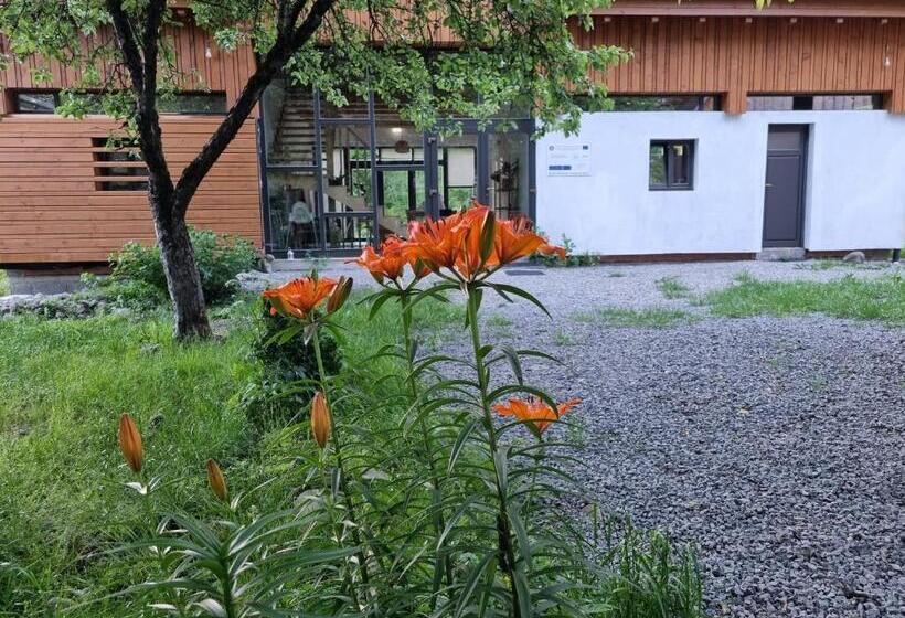 Дом 1 Спальня, Aster Panzió