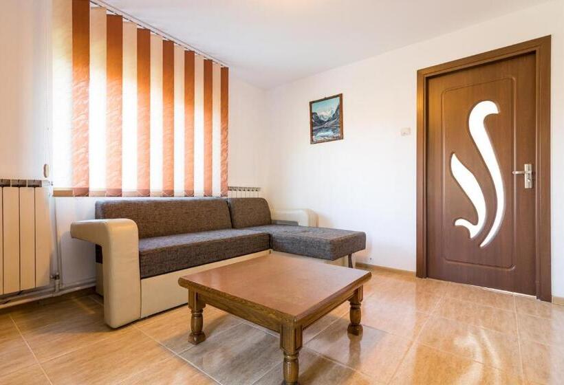 استودیو خانوادگی, Casa De Vacanta Jeny