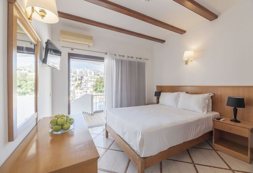 Номер Стандарт с Балконом, Bertolina Guest House