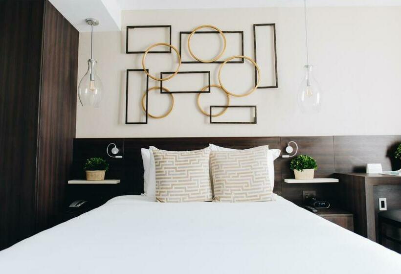 Standard-huone, Iberostar Waves Berkeley Shore