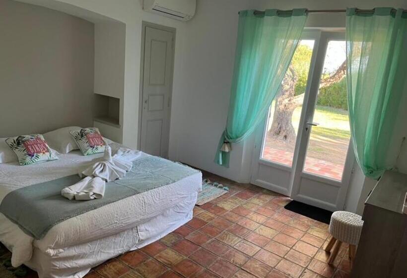 اتاق لوکس, Villa Made