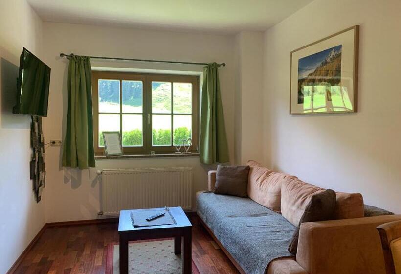 低层单卧公寓, Die Filzmooserin Apartments