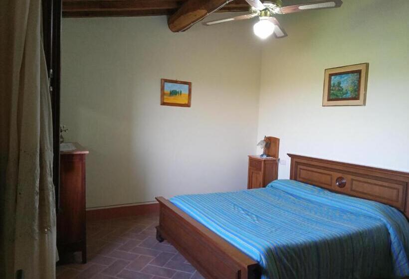 Апартаменты 1 Спальня, Agriturismo Collesassi