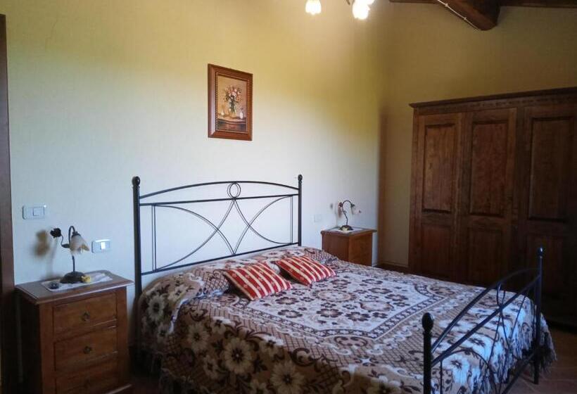 Апартаменты 3 Спальни, Agriturismo Collesassi