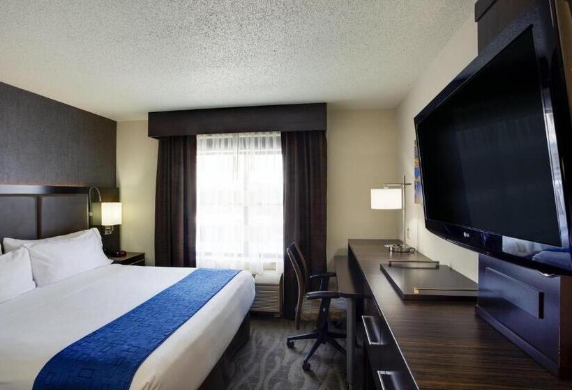 스탠다드 룸 킹사이즈 침대, Holiday Inn Express Hotel & Suites Meadowlands Area, An Ihg