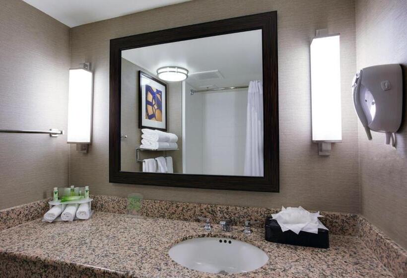 스위트 킹사이즈 침대, Holiday Inn Express Hotel & Suites Meadowlands Area, An Ihg