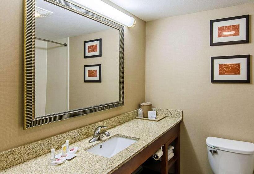 Люкс Кровать Кинг, Comfort Suites Wytheville