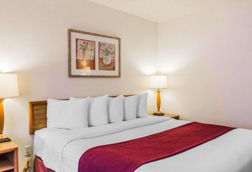 스탠다드 룸 킹사이즈 침대, Quality Inn & Suites Golden  Denver West