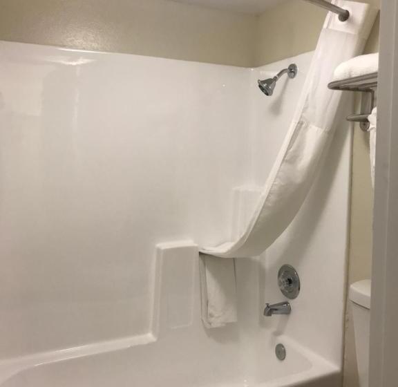Standart Oda, Quality Inn & Suites Near Downtown Mesa