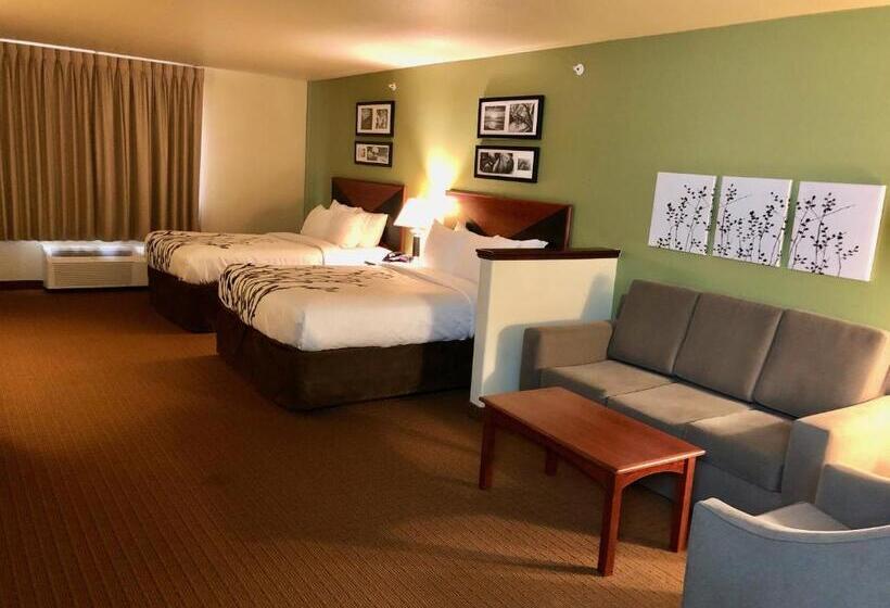 Люкс, Sleep Inn & Suites