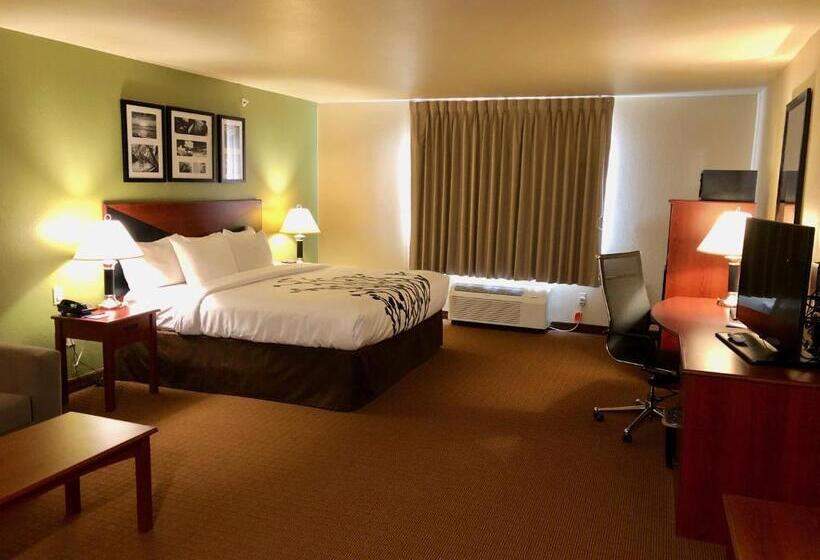 Люкс Кровать Кинг, Sleep Inn & Suites