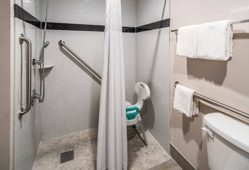Номер Deluxe Адаптированный для Инвалидов, Red Roof Inn St George Ut  Convention Center