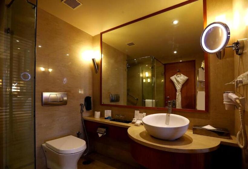 Номер Deluxe, Radisson Blu Hotel Chennai City Centre
