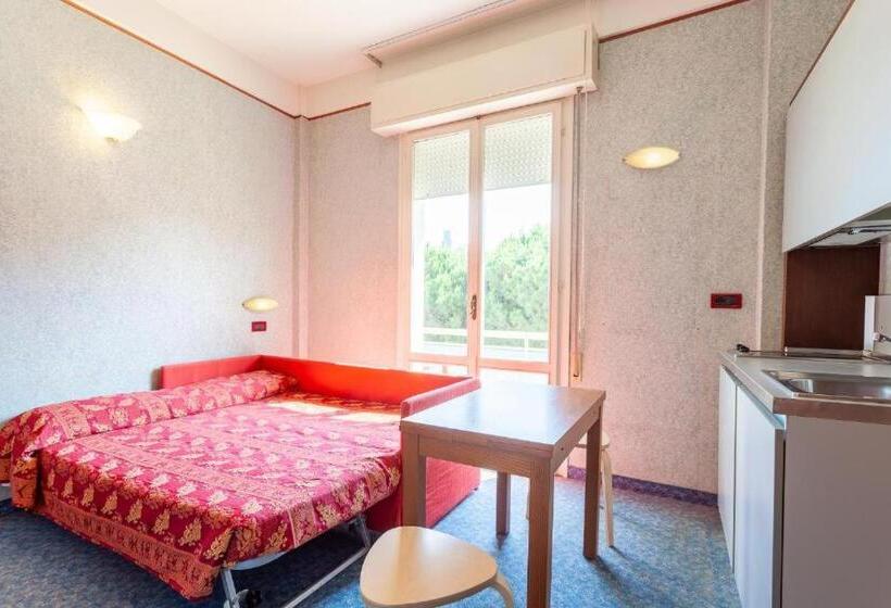 Студия Стандарт, Residence & Suites