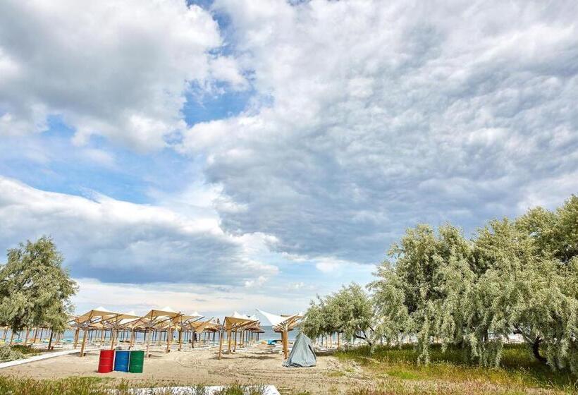 إستوديو قياسى, Apartamente Promenada 2