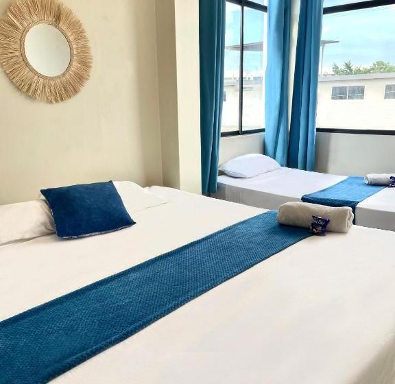 标准三人间, Reef Hostel Manta