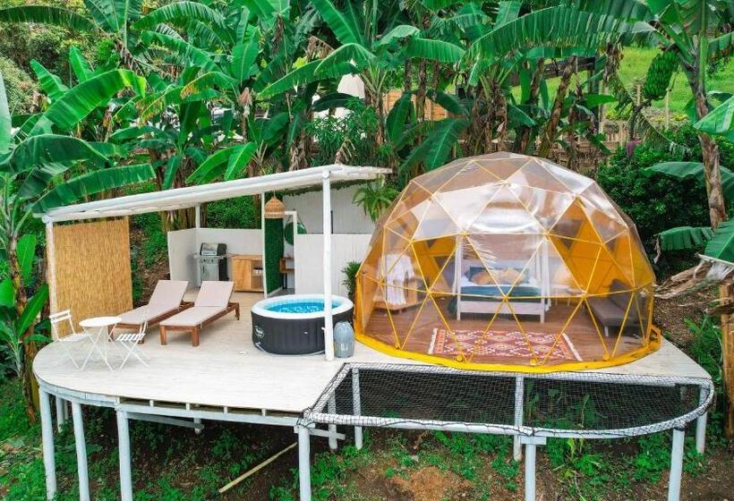 Номер Deluxe, Bajo El Cielo Glamping San Francisco