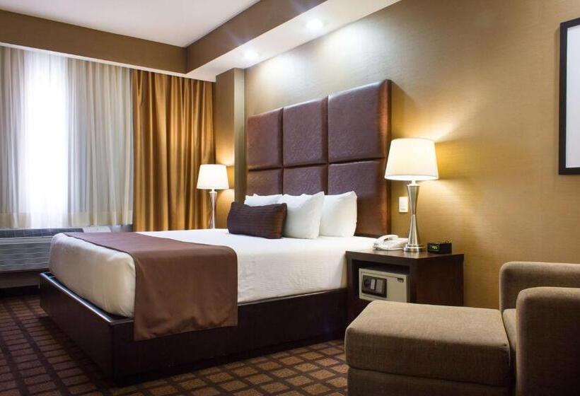 اتاق استاندارد با تخت بزرگ, Best Western Premier Monterrey Aeropuerto