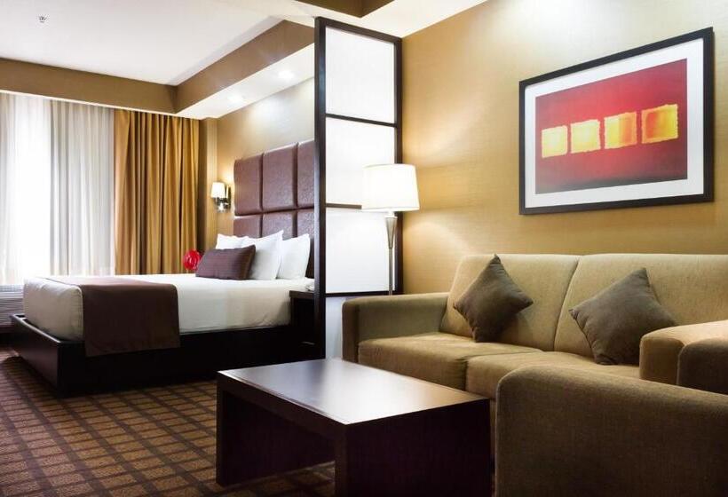 اتاق استاندارد با تخت بزرگ, Best Western Premier Monterrey Aeropuerto