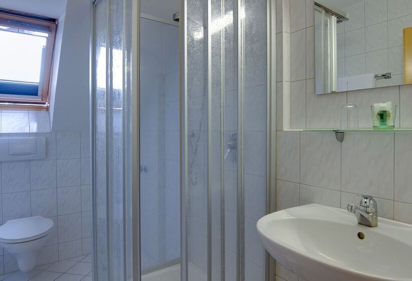 غرفة قياسية فردية, Central Hotel Friedrichshafen