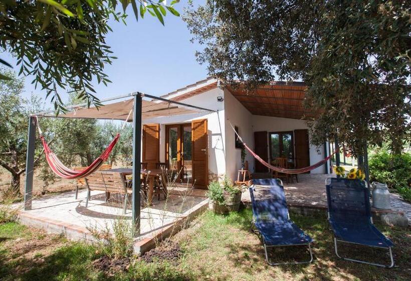 חדר סטנדרט, Agriturismo Fontetrilla