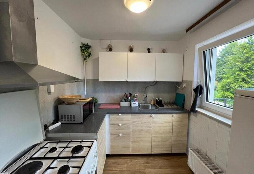 اتاق استاندارد یک تخته با سرویس بهداشتی مشترک, Emona Guesthouse Ljubljana