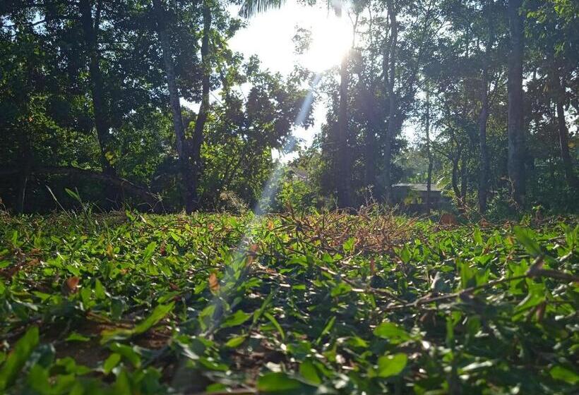 اتاق استاندارد, Green Garden Hiriketiya