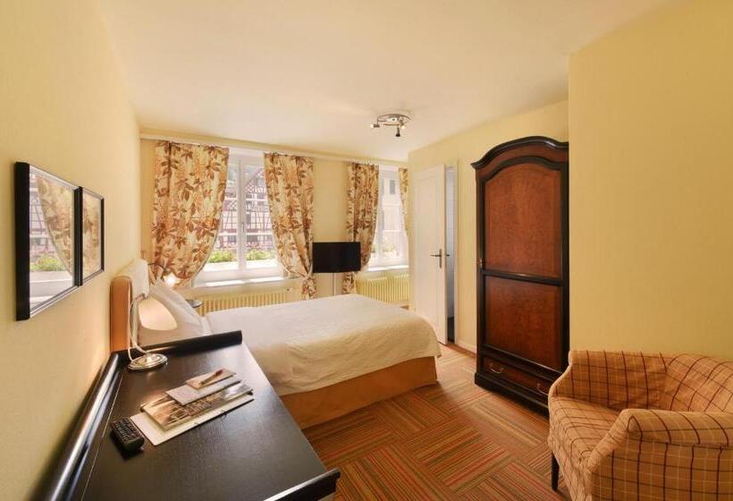 Номер Стандарт Индивидуальный, Romantik Hotel Schwan