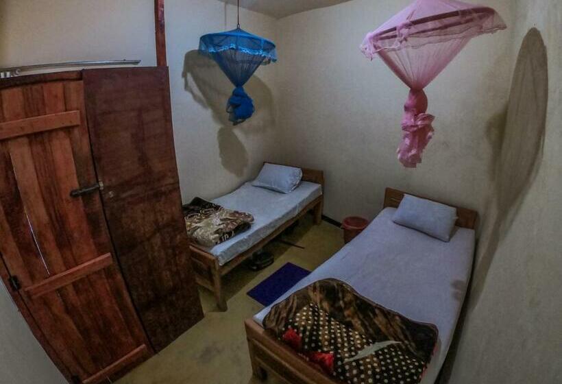 Номер Стандарт, Hello Super Hostel