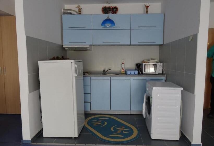 آپارتمان 1 خوابه با بالکن, Club Onix Apartments