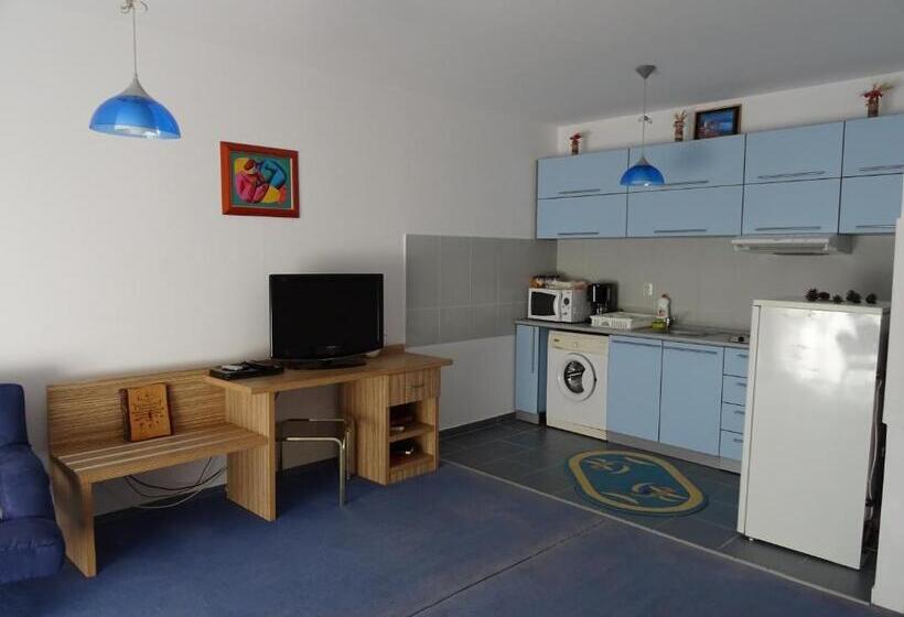آپارتمان 1 خوابه با بالکن, Club Onix Apartments