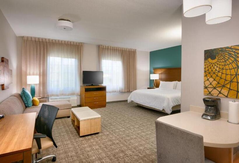 장애인을 위한 킹사이즈 침대 스탠다드 룸, Staybridge Suites   Gainesville I 75, An Ihg
