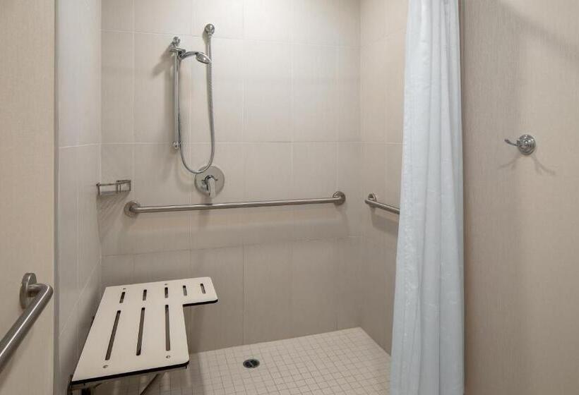 اتاق کلاسیک با تخت دونفره, Sheraton Carlsbad Resort & Spa