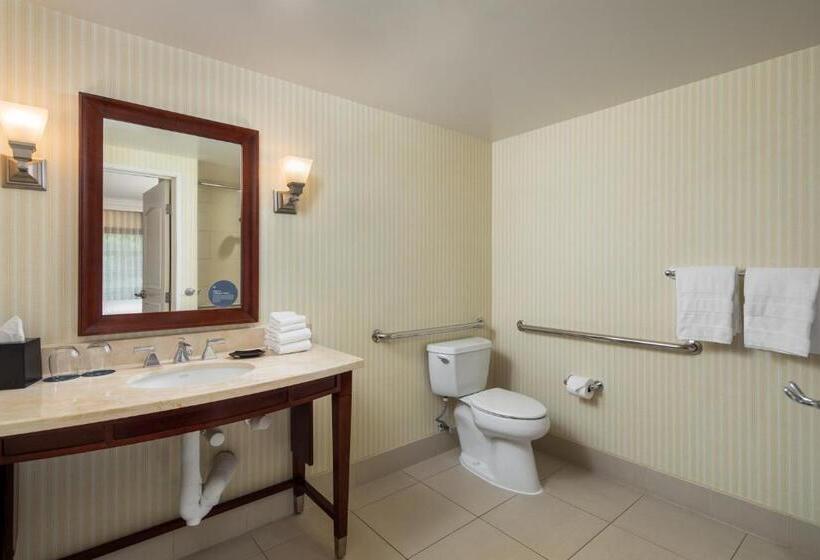 带阳台的豪华间, Sheraton Carlsbad Resort & Spa