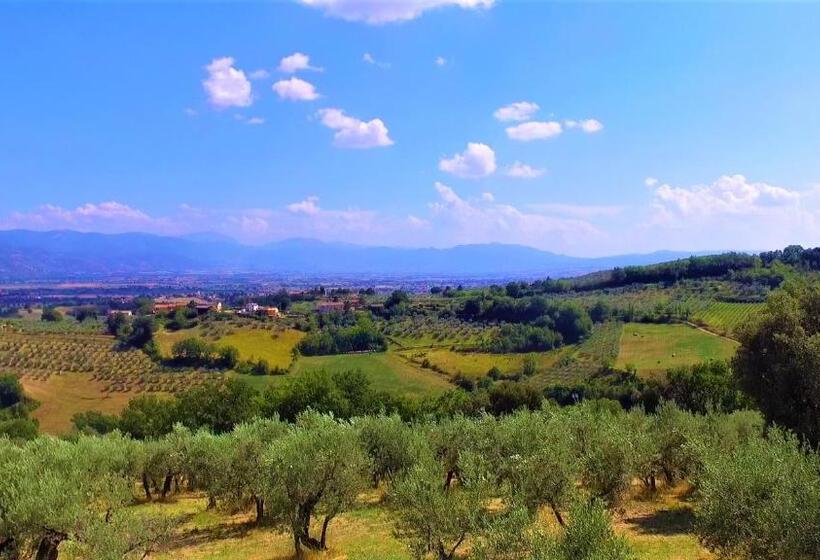 스탠다드 룸 산 전망, Agriturismo Camiano Piccolo