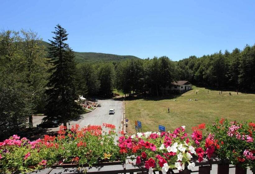 Номер Superior, Albergo Le Macinaie  Monte Amiata