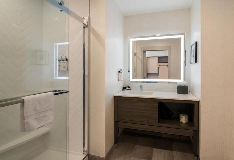 适合残疾人士使用的带超级大床的标准间, Holiday Inn & Suites   Mt Juliet Nashville Area, An Ihg