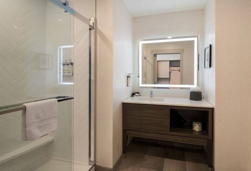 适合残疾人士使用的套间, Holiday Inn & Suites   Mt Juliet Nashville Area, An Ihg