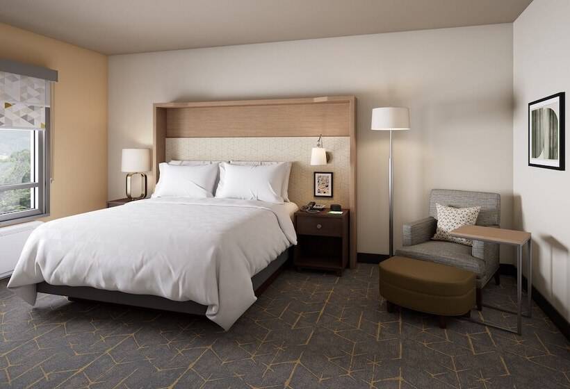 适合残疾人士使用的套间, Holiday Inn & Suites   Mt Juliet Nashville Area, An Ihg