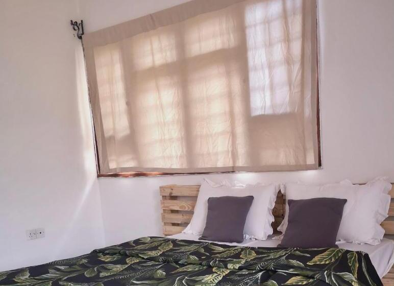 디럭스 룸, Safariadventures House