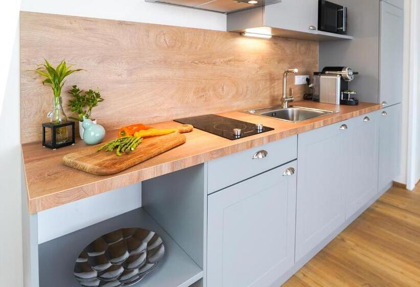 스탠다드 스튜디오, Citadines South Vienna