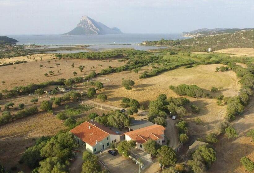 Номер Стандарт, B&b La Taerra