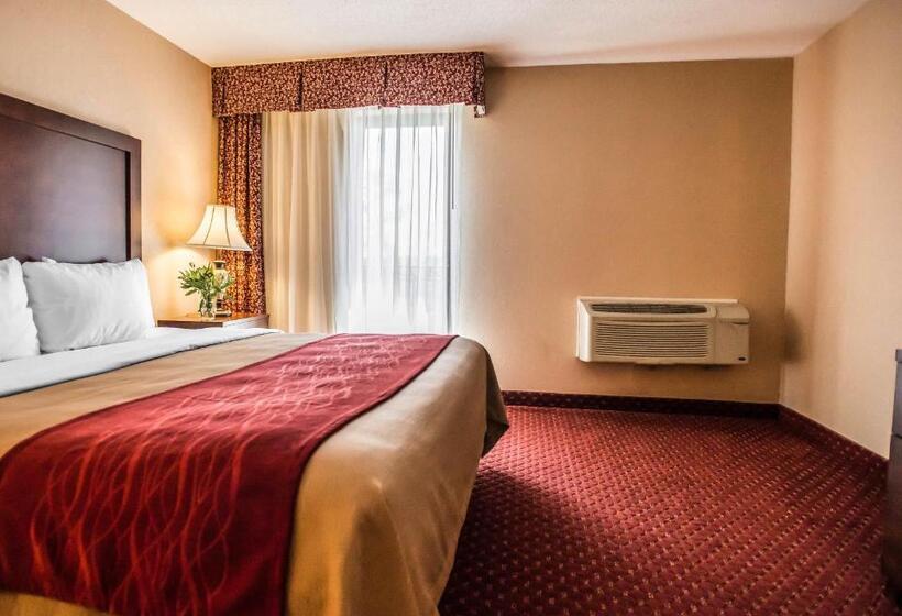 Стандартный Номер Кровать Кинг, Comfort Inn Pocono Lakes Region