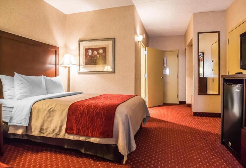 Номер Стандарт, Comfort Inn Pocono Lakes Region