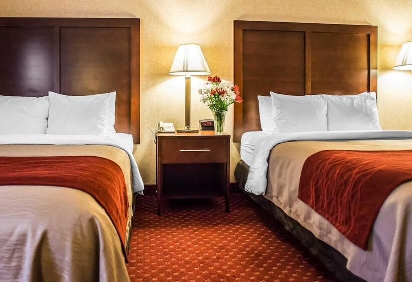 Номер Стандарт 2 Двуспальные Кровати, Comfort Inn Pocono Lakes Region